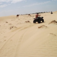 Dubai desert 2011